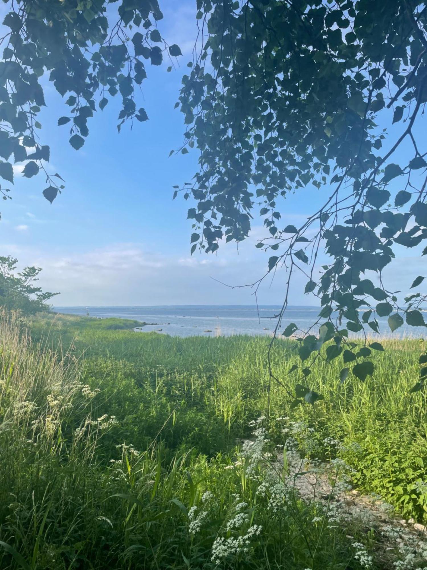 Nice Child-Friendly House 200M From Beautiful Beach, Farhult Eksteriør bilde