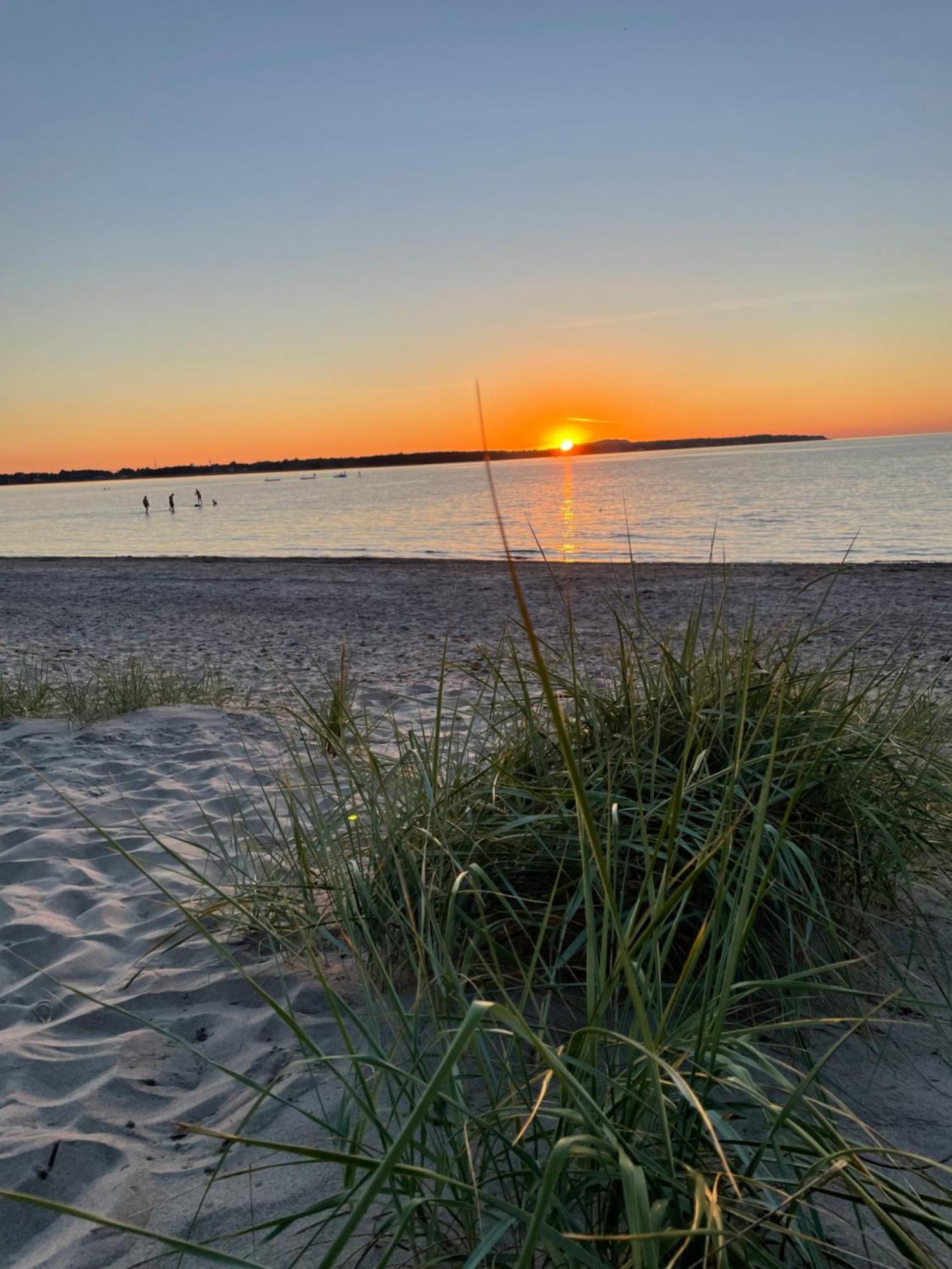 Nice Child-Friendly House 200M From Beautiful Beach, Farhult Eksteriør bilde